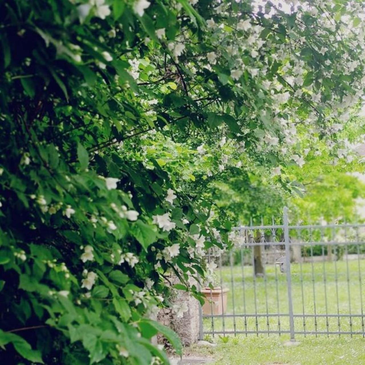 B&B Ernestine Family Home Caneva Dış mekan fotoğraf