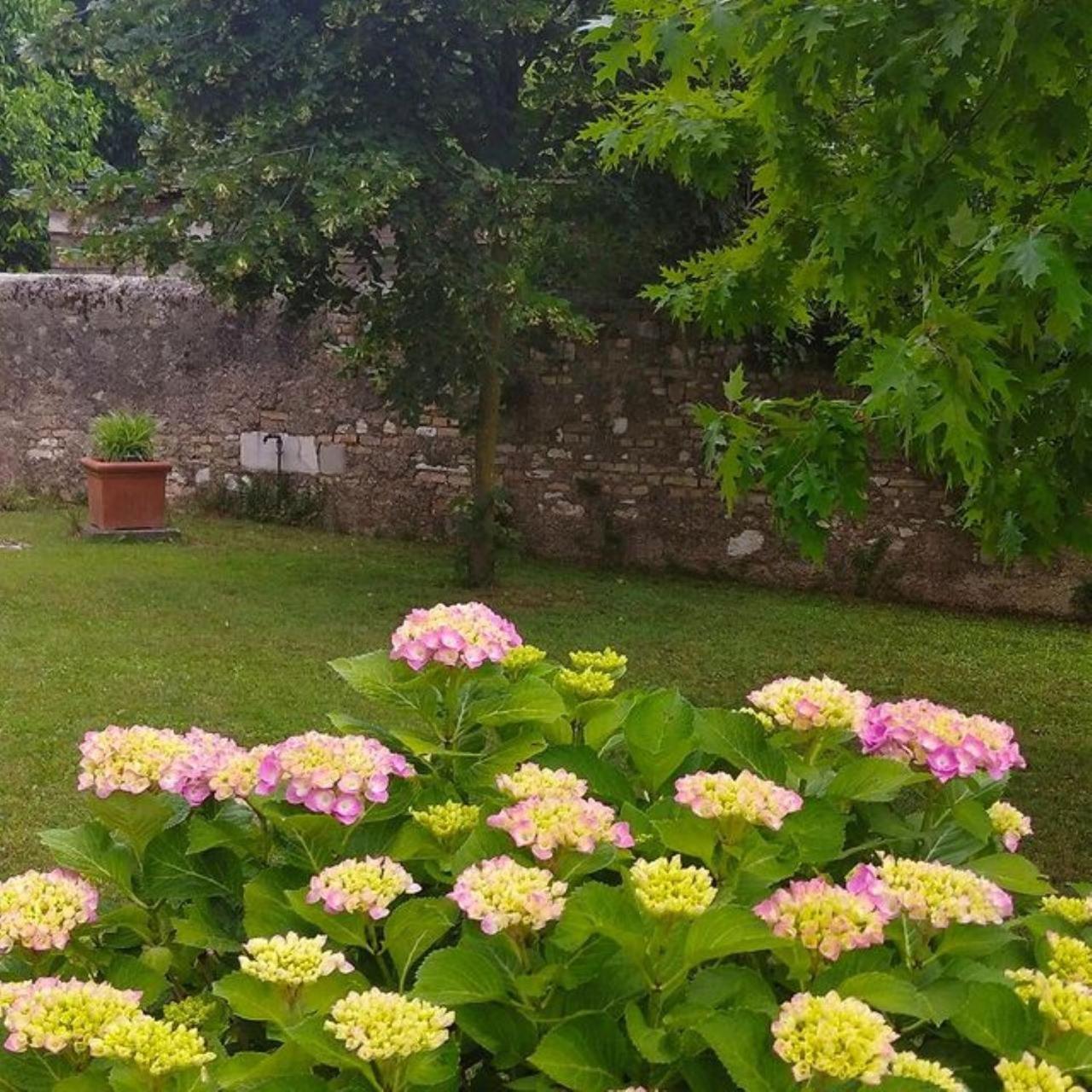 B&B Ernestine Family Home Caneva Dış mekan fotoğraf
