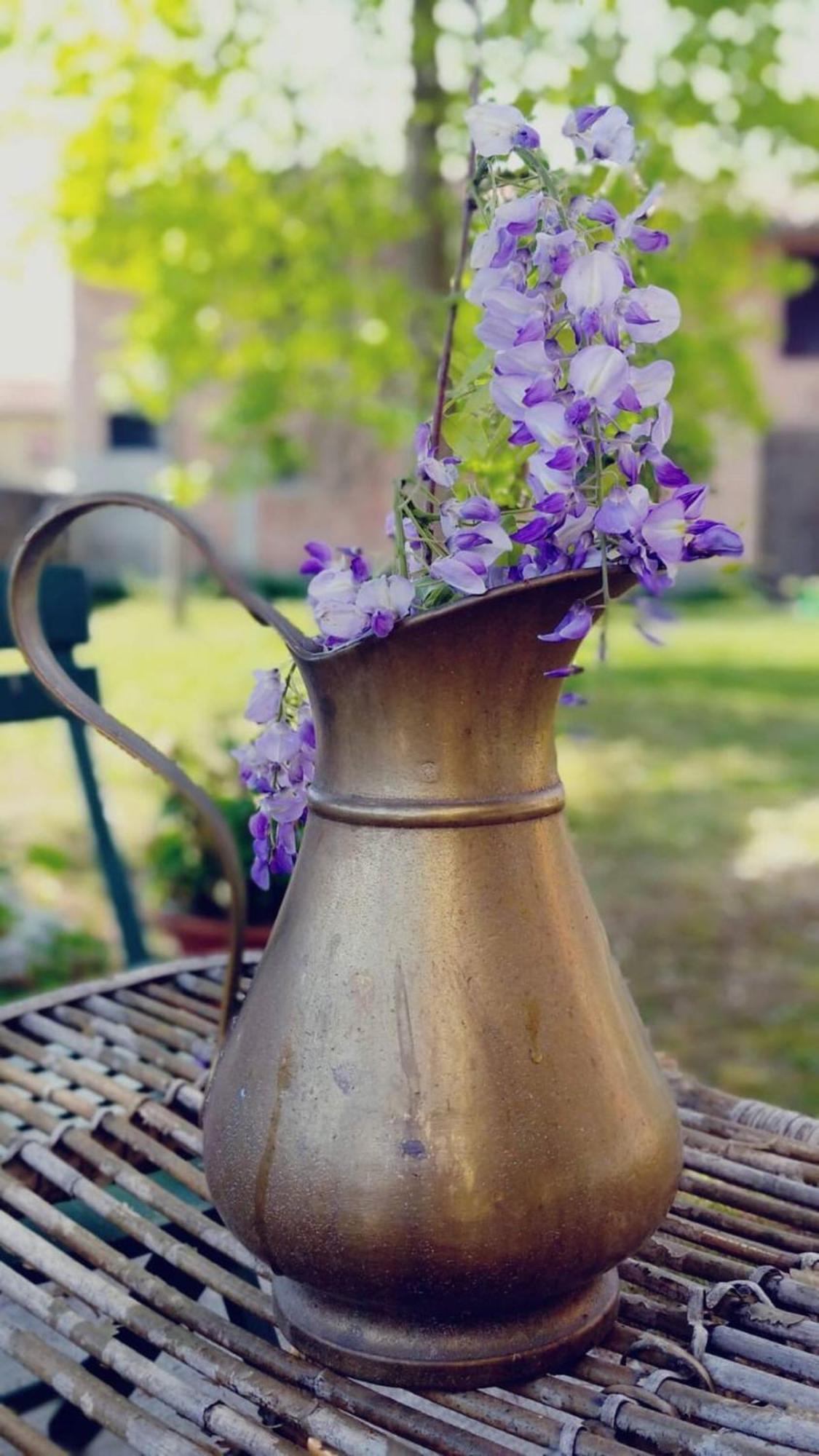 B&B Ernestine Family Home Caneva Dış mekan fotoğraf
